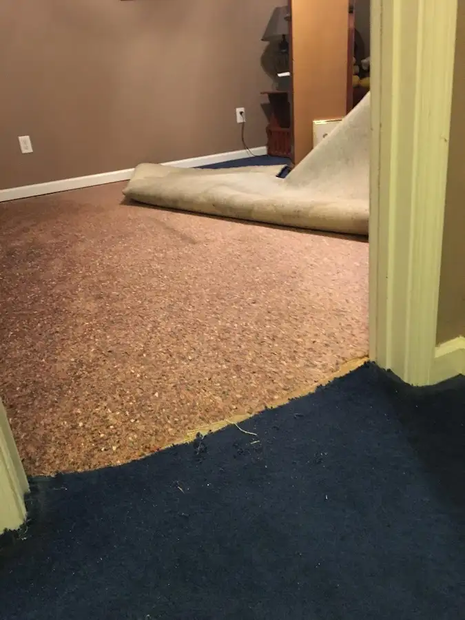 Carpet pad removal revealing water damage during Drying & Dehumidification in Buenaventura Lakes