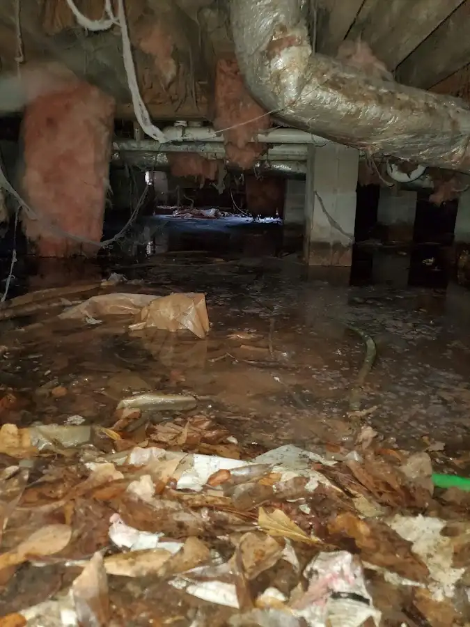 Crawl space flood assessment for Leak Detection & Repair in Buenaventura Lakes